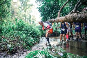 BIB: 
                            <button type="button" onclick="openModal(25460715)" class="btn btn-primary btn-sm float-right btn-popup" data-toggle="modal" data-target=".modal-high-quality">
                        <i class="fas fa-shopping-cart"></i> Add to Cart
                    </button>
                                            <button type="button" onclick="isThisMe(25460715, true)" class="btn btn-success btn-sm float-right btn-popup btn-isme hidden" data-toggle="tooltip" data-placement="bottom" title="นี่คือรูปของคุณใช่ไหม คลิกที่นี่เพื่อเอาเข้าอัลบั้ม">
                        <i class="fas fa-plus"></i> Add to album
                    </button>
                    <button type="button" onclick="isThisMe(25460715, false)" class="btn btn-warning btn-sm float-right btn-popup btn-isnotme hidden">
                        <i class="fas fa-ban"></i> Remove from album
                    </button>